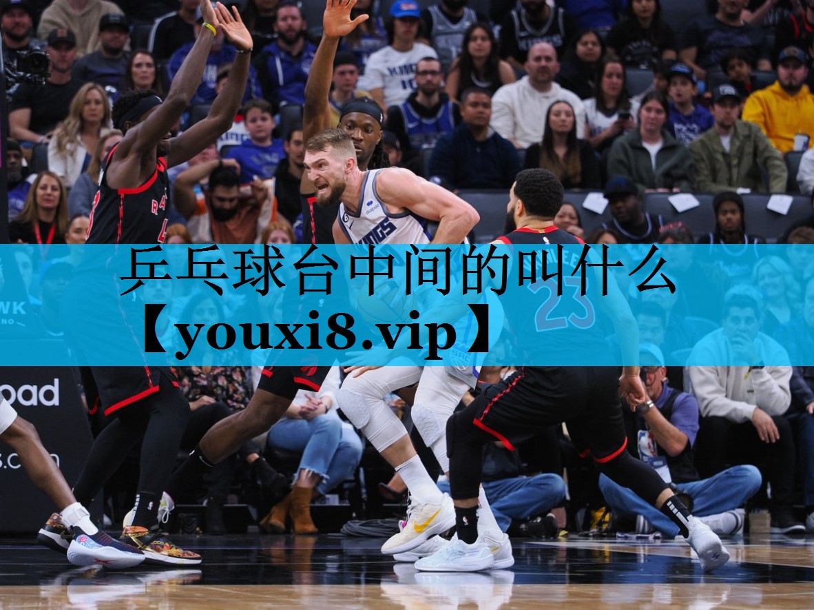 乒乓球台中间的叫什么