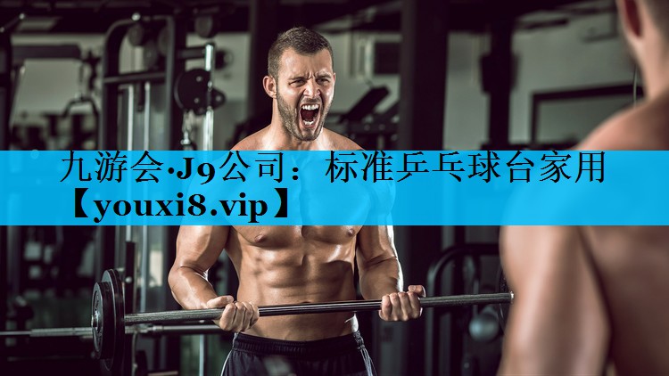 标准乒乓球台家用