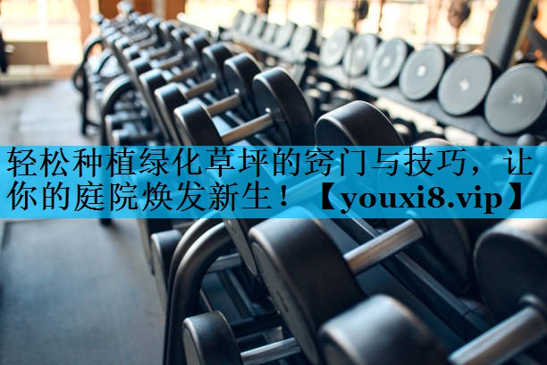轻松种植绿化草坪的窍门与技巧，让你的庭院焕发新生！