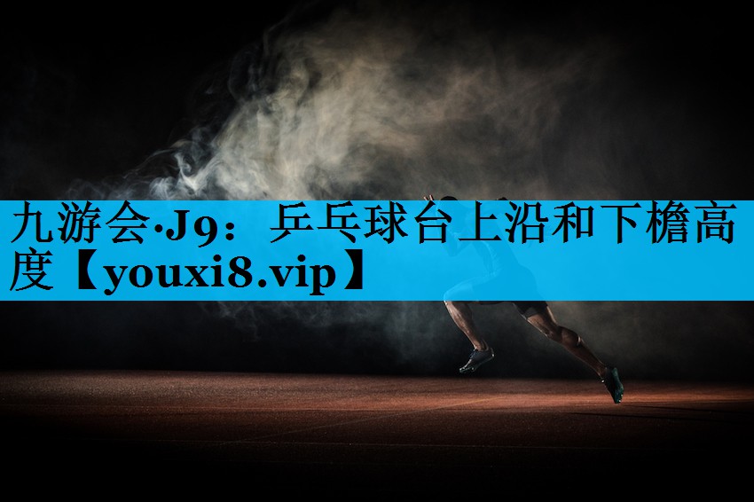 乒乓球台上沿和下檐高度
