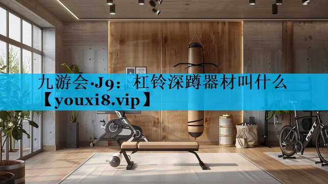 杠铃深蹲器材叫什么