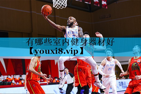 有哪些室内健身器材好